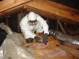 INSULATION REMOVAL SERVICE 